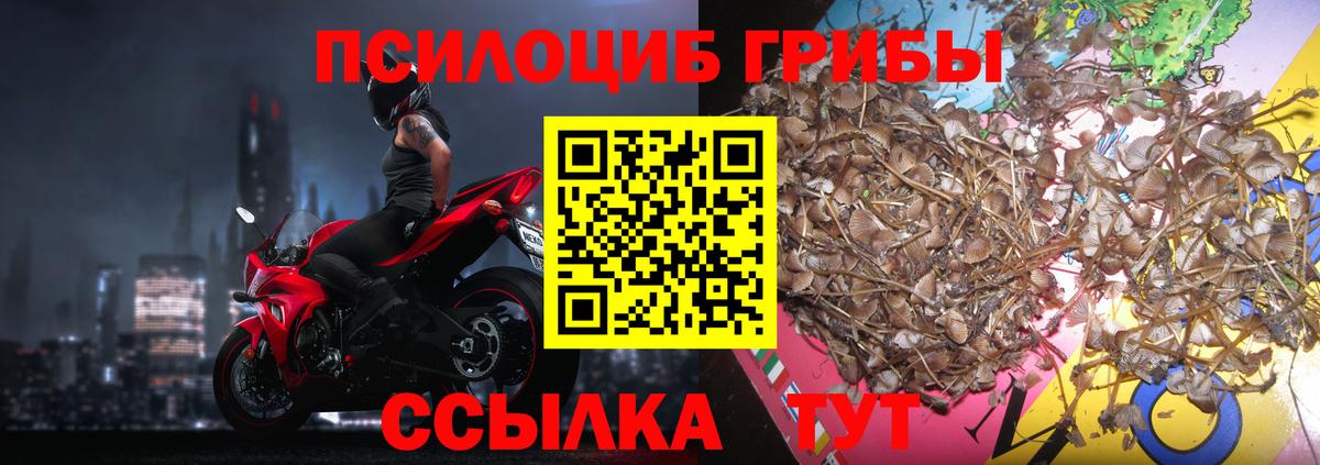 Псилоцибиновые грибы ЛСД  Псилоцибиновые грибы прущие грибы  Волжск  Вход с VPN 